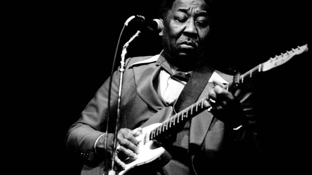 picture of Muddy Waters